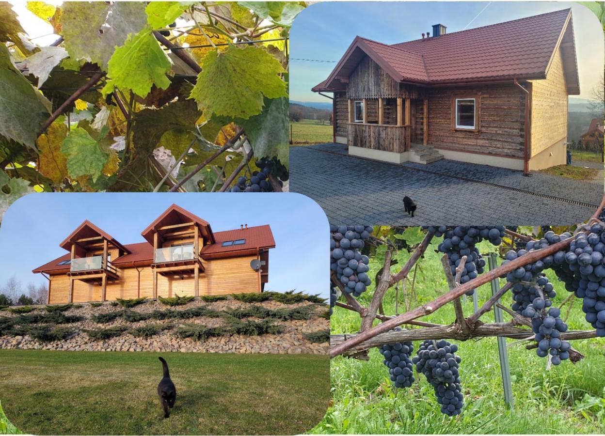 Fantastic View Vineyard Beskid Mountains Gruszow  Екстериор снимка