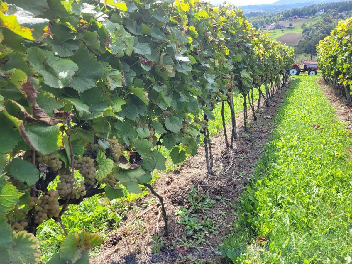 Fantastic View Vineyard Beskid Mountains Gruszow  Екстериор снимка