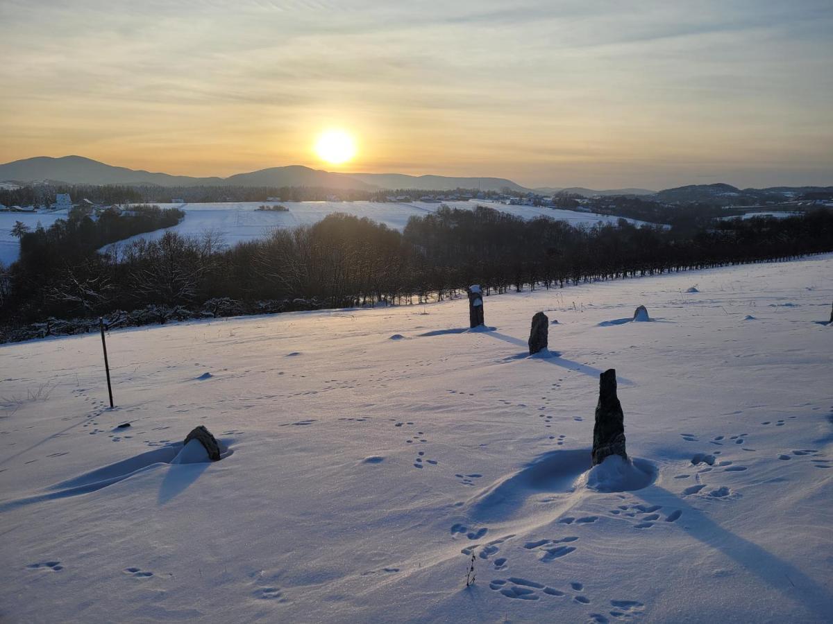 Fantastic View Vineyard Beskid Mountains Gruszow  Екстериор снимка