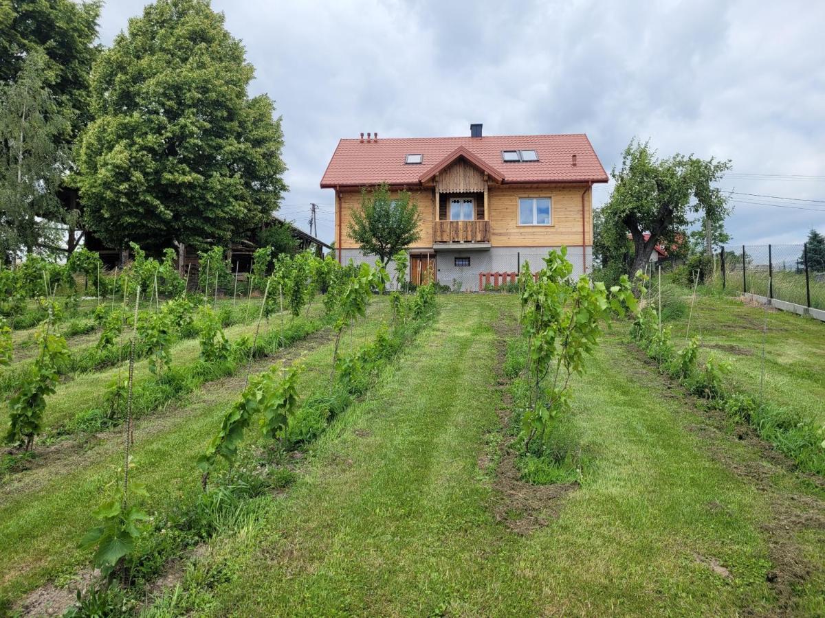 Fantastic View Vineyard Beskid Mountains Gruszow  Екстериор снимка