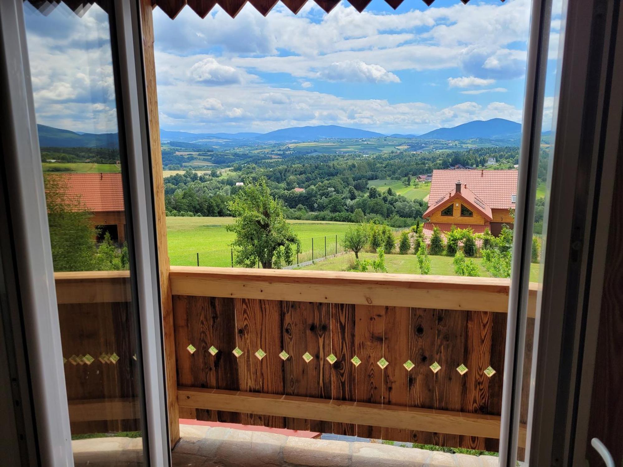 Fantastic View Vineyard Beskid Mountains Gruszow  Стая снимка