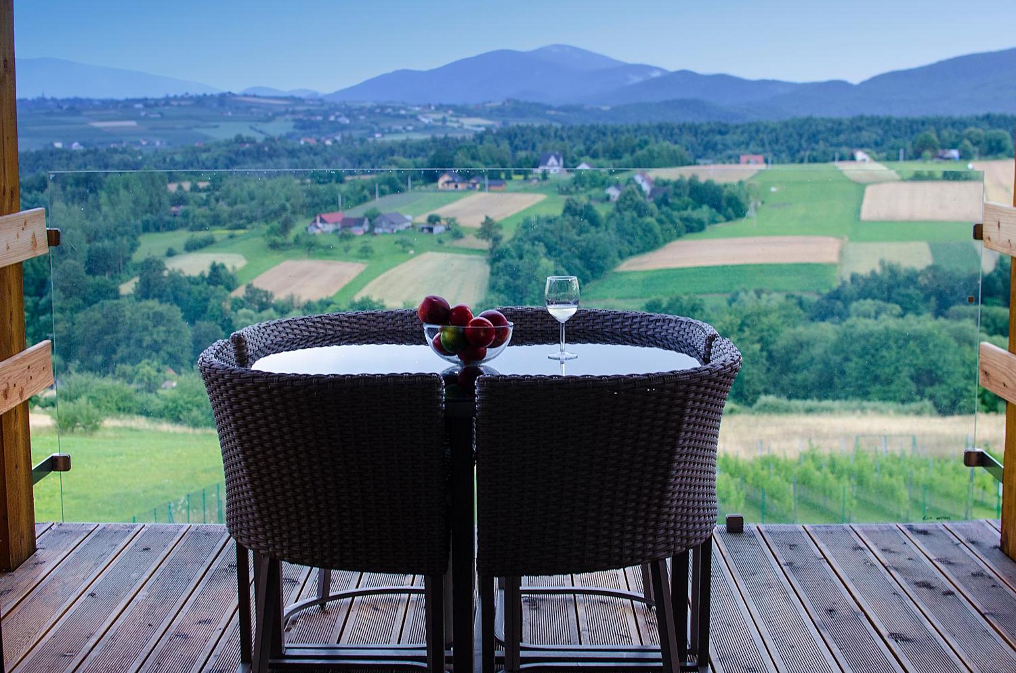 Fantastic View Vineyard Beskid Mountains Gruszow  Стая снимка