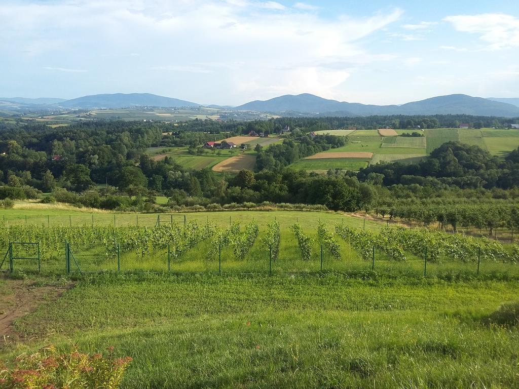 Fantastic View Vineyard Beskid Mountains Gruszow  Екстериор снимка